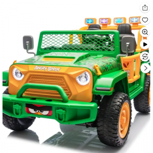 Walmart - Joyracer 24V 大童骑乘玩具车，直降$360 