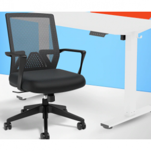 夏季套装优惠活动：FlexiSpot可调节办公桌 + Staples Cartwright人体工学椅仅需$179.99 @ Staples