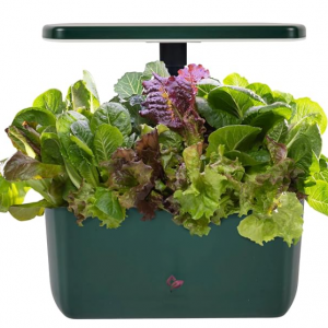 AeroGarden Harvest 2.0 水培花園 6莢 @ Amazon