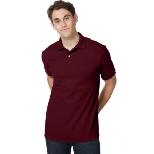Hanes EcoSmart Men's Polo Shirt (Big & Tall Sizes Available)