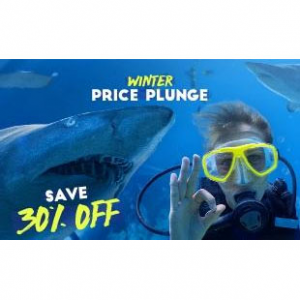 Sea Life Sydney悉尼冬季极限鲨鱼潜水限时大促 