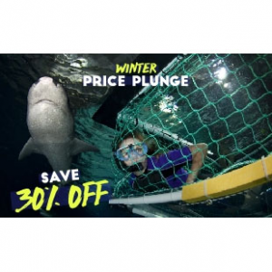 30% Off Shark Cage Snorkel @ SEA LIFE Kelly Tarlton