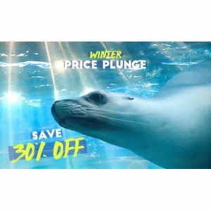 Up To 30% Off Admission + Seal Swim @ Sealife Sunshine Coast