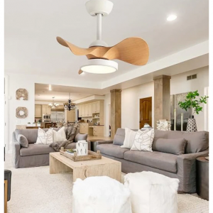 Ceiling Fan with Lights @ WOMO