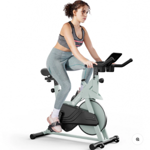 DeerRun S500 室内可调磁阻静音带智能自行车，配备 PitPat 应用程序