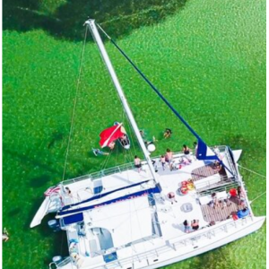 贝壳岛浮潜和海豚观察双体船巡游(含岛屿时光)