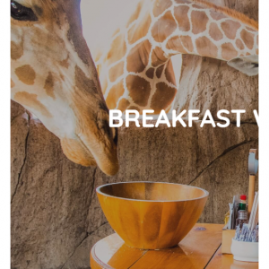 Emirates Park Zoo & Resort - 阿联酋公园动物园，在长颈鹿的陪伴下，享用早餐，仅AED 2100