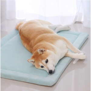 Momomi® 宠物垫 @ Momomi