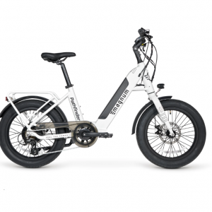 Magnum Electric Bikes -  Pathfinder 350 电动自行车，6.3折