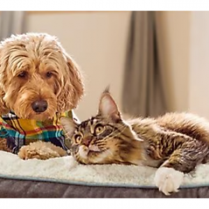 Free $30 eGift Card When You Spend $100 @ Chewy