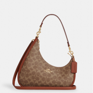 Coach Twisted Teri Shoulder Bag In Signature Canvas