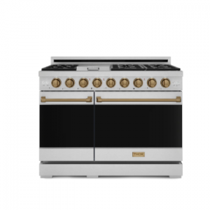 48 英寸专业 LP 系列,配备专业风格不锈钢/青铜旋钮