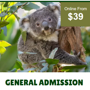 Wild Life Sydney - 父親節特價：悉尼野生動物園門票，父親免門票