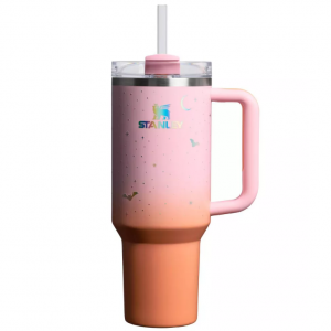 Stanley Halloween 40 oz Stainless Steel H2.0 Flowstate Quencher Tumbler