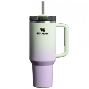 Stanley Halloween 40 oz Stainless Steel H2.0 Flowstate Quencher Tumbler