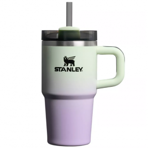 Stanley Halloween 20 oz Stainless Steel H2.0 Flowstate Quencher Tumbler