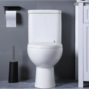 SNFLEX 分体式粉碎马桶 | 750W 上冲式马桶