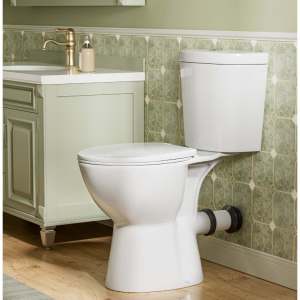 ELEMAZ 19英寸高马桶 | ADA 高度马桶，后排式