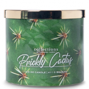 仙人掌香味蜡烛，14.5盎司