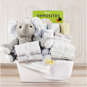 Welcome Home Baby Large Gift Basket @ Baby Basket