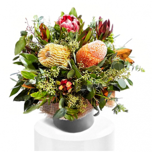 Earthy Natives In Pot