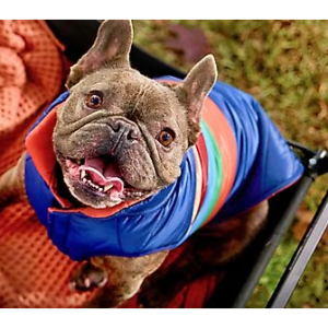 Free $30 eGift Card When You Spend $100 @ Chewy