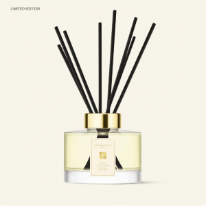 松树和桉树阔香器