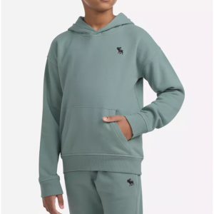abercrombie kids 男孩连帽卫衣