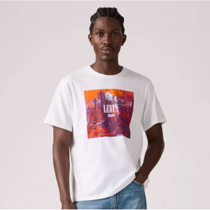 Levis 寬鬆短袖圖案T恤