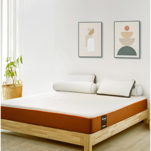 S 型泡沫床垫 -中等硬度-Single