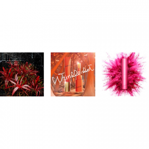 2025日本POLA集团旗下品牌一览及档次划分（附入坑产品推荐）- 定位、特点、价位等介绍！