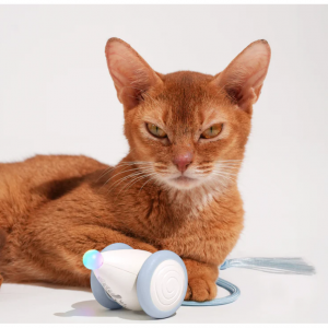 Cheerble邪恶老鼠尼奥猫咪追逐玩具