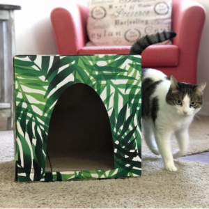 Kitty Jungle 带抓板的纸板猫屋 @ Cat Box Classics