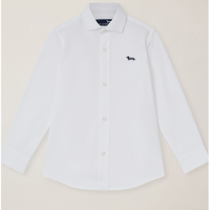 Solid-color shirt with spread collar