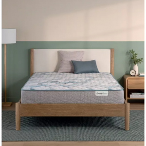 BeautySleep Dream Weaver 11.5" Firm Mattress - Queen