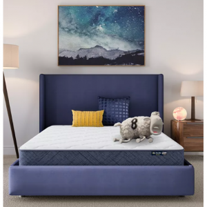 Dream Haven 8" Medium Tight Top Mattress in a Box - Queen