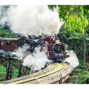 Melbourne: Puffing Billy & Healesville Sanctuary Scenic Tour