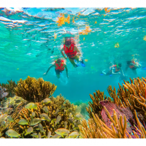 Puerto Morelos: Snorkel, Town Walk, Tequila & Beach Lunch
