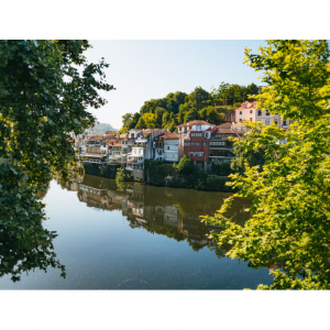 Porto: Douro Valley with Winery Lunch, Tastings & Cruise