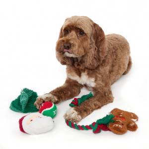 五件套狗狗玩具组合