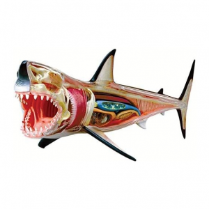 TEDCO 4D Vision Great White Shark Puzzles
