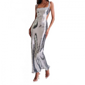 strokes maxi dress in silver