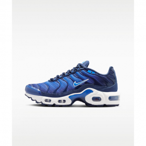 Nike Air Max Plus SE Big Kids' Shoes