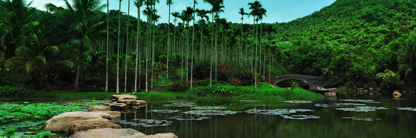 2024海南三亚呀诺达热带雨林游玩攻略 - 赏景与风情，优雅与激荡