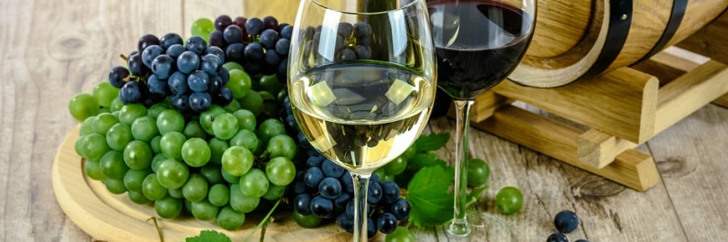 2024美国购买葡萄酒网站推荐（入门科普+8%返利）- 葡萄酒怎么喝？怎么配菜？