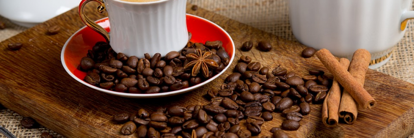 阿拉比卡咖啡豆的品牌及推荐 - 好喝的咖啡在这里!（附价位+网购渠道）	