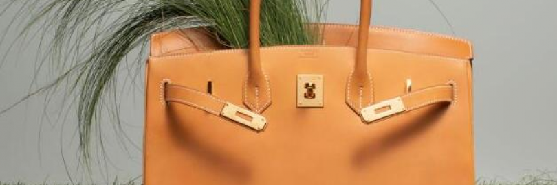  3 Iconic Hermès Handbags You Won't Regret Investing In 2024