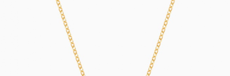 施华洛世奇 2019新年特别版 红色天鹅项链 （新年限定）