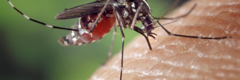 2024英国防蚊驱蚊产品及止痒药膏推荐（成人/儿童版+购买网站+返利）