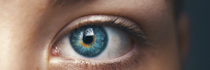 2024美国销量较好的护眼（视力）保健品推荐（购买网站+10%返利）- 预防眼睛干涩，保护视力，眼部疾病等！